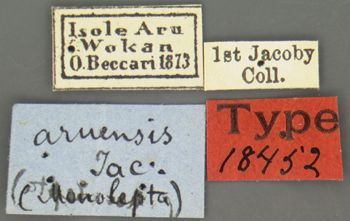 Media type: image; Entomology 18452   Aspect: labels